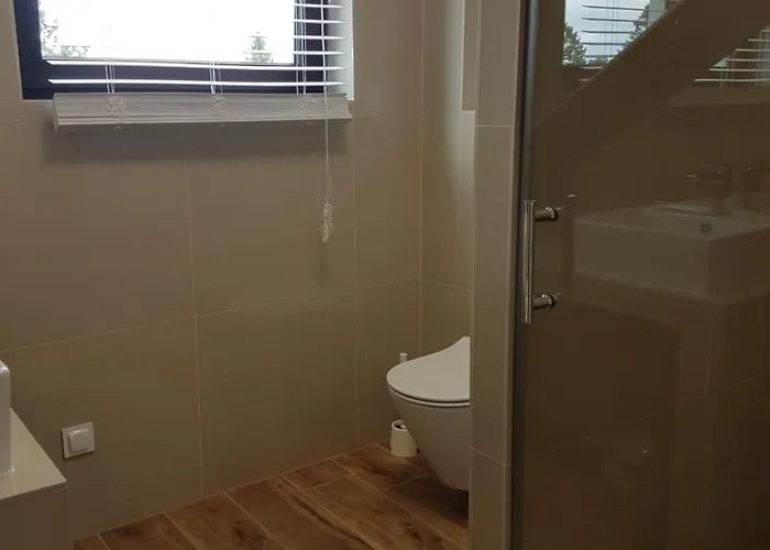 Moje - ساسينو